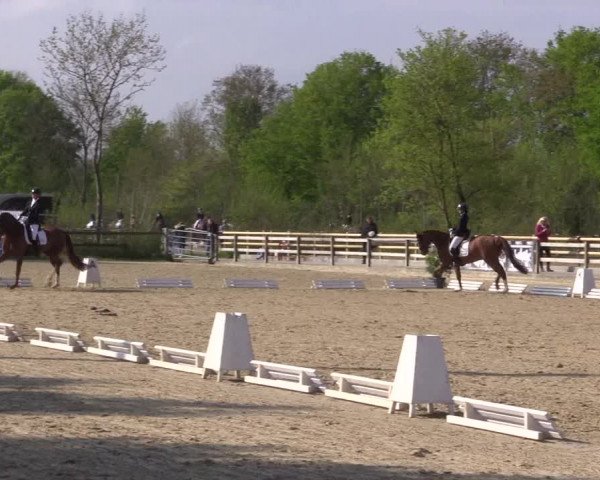 Reitturnier Nienberge 2022