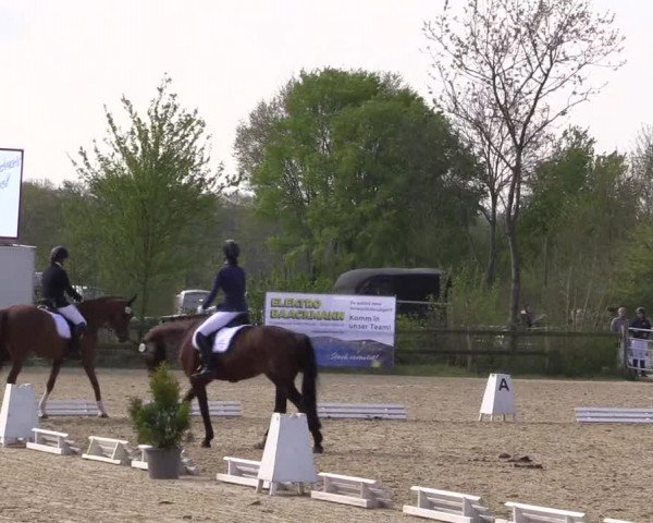 Reitturnier Nienberge 2022