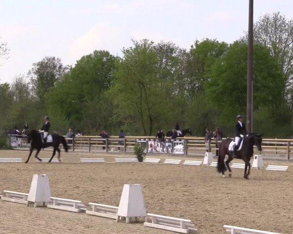 Reitturnier Nienberge 2022