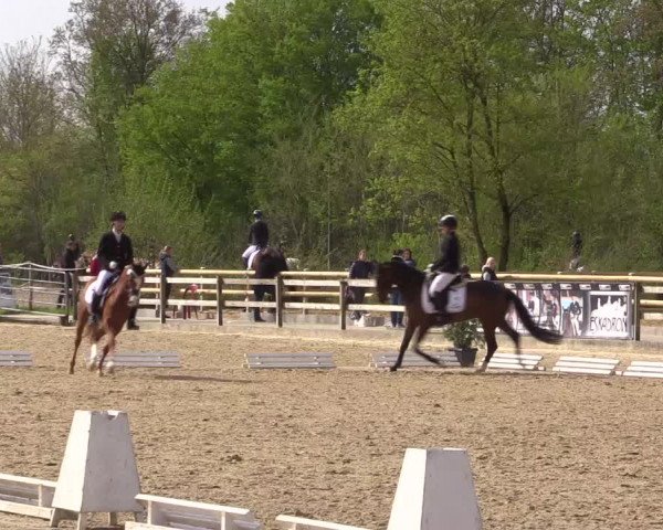 Reitturnier Nienberge 2022