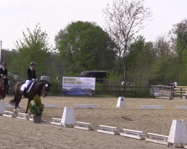 Reitturnier Nienberge 2022