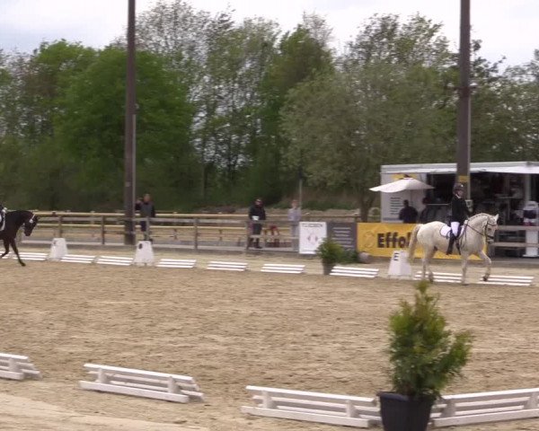 Reitturnier Nienberge 2022