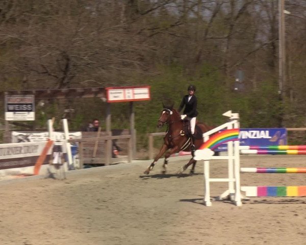 Reitturnier Kropp 2022