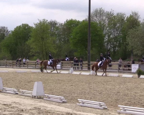 Reitturnier Nienberge 2022