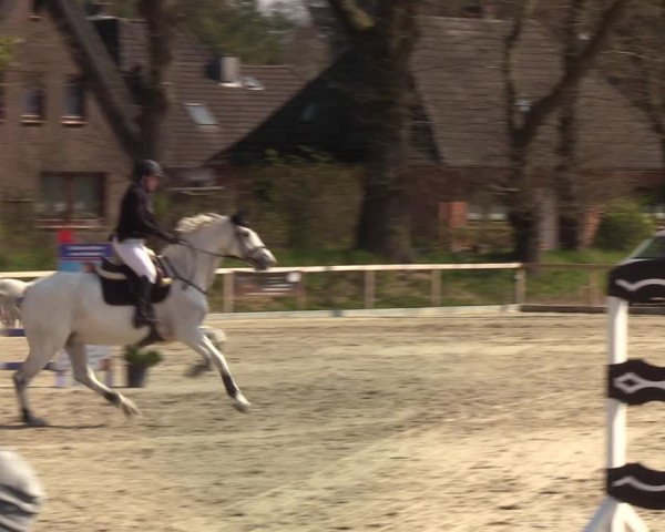 Reitturnier Kropp 2022