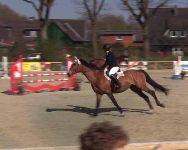 Reitturnier Kropp 2022