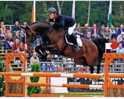 jumper Lake Conte (Hessian Warmblood, 2004, from Lake Tahoe)