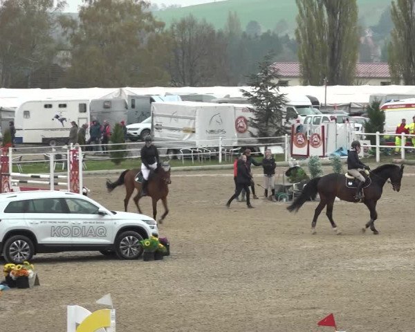 Reitturnier Ried am Riederberg 2022
