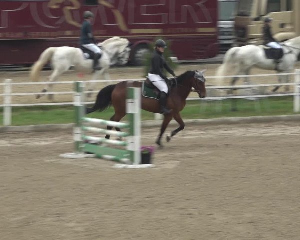 Reitturnier Ried am Riederberg 2022