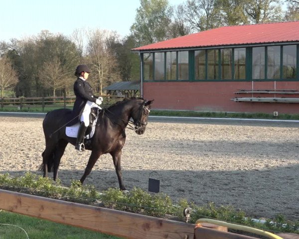 Reitturnier Schwanewede 2022