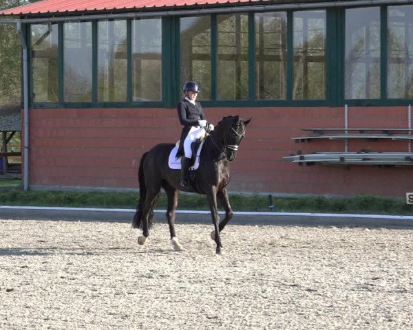 Reitturnier Schwanewede 2022
