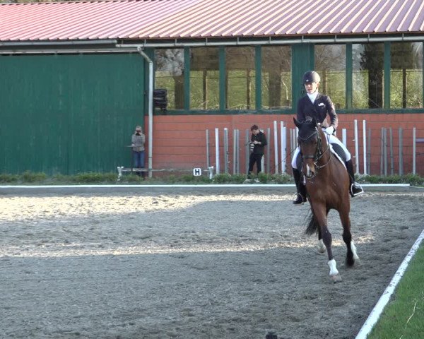 Reitturnier Schwanewede 2022