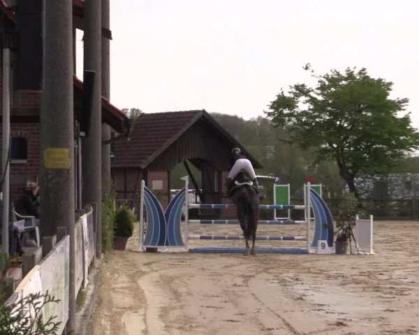 Reitturnier Nienberge 2022
