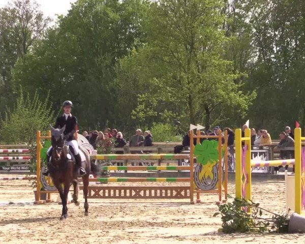 Reitturnier Nienberge 2022