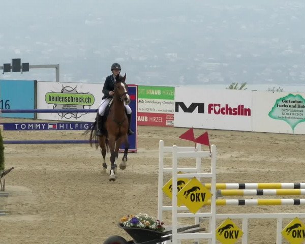 Reitturnier Wädenswil 2022