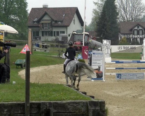 Reitturnier Wädenswil 2022