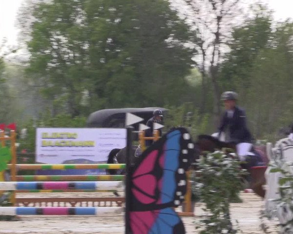 Reitturnier Nienberge 2022