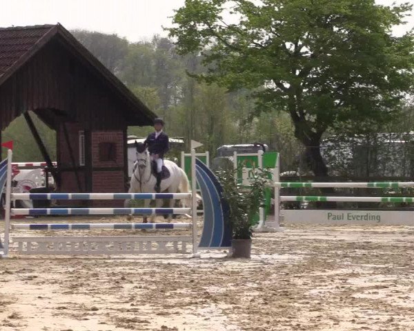Reitturnier Nienberge 2022