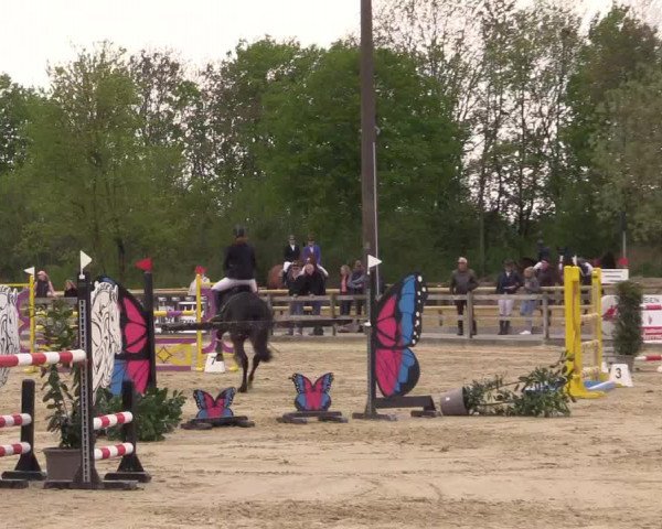Reitturnier Nienberge 2022