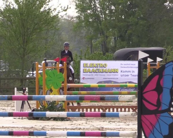 Reitturnier Nienberge 2022