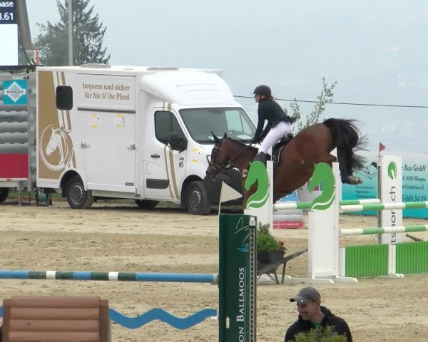 Reitturnier Wädenswil 2022