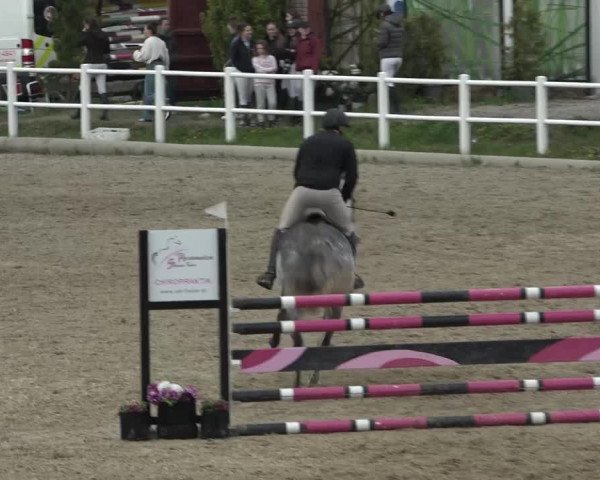 Reitturnier Ried am Riederberg 2022