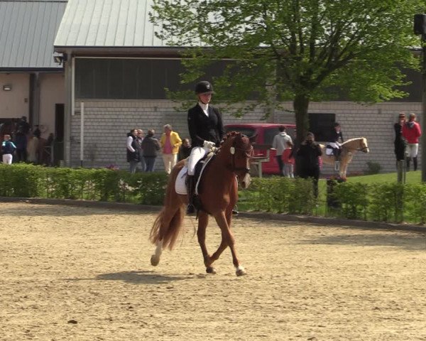 Pony- und Juniorenturnier Olfen-Vinnum 2022