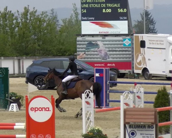 Reitturnier Wädenswil 2022