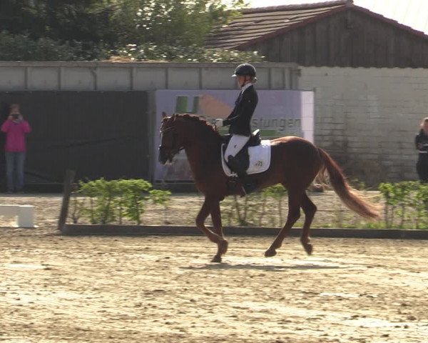 Pony- und Juniorenturnier Olfen-Vinnum 2022