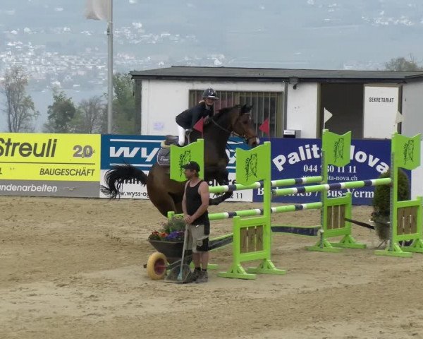 Reitturnier Wädenswil 2022