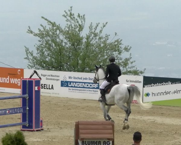 Reitturnier Wädenswil 2022