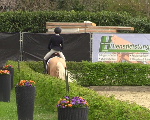Pony- und Juniorenturnier Olfen-Vinnum 2022
