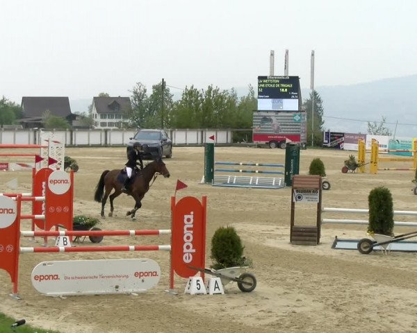 Reitturnier Wädenswil 2022