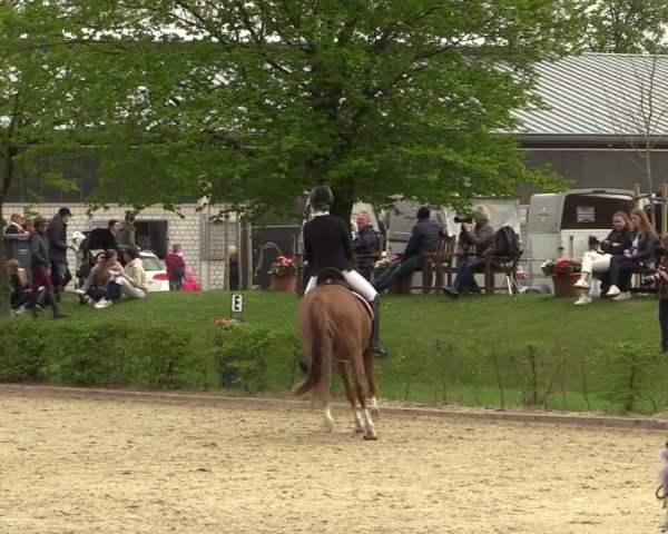 Pony- und Juniorenturnier Olfen-Vinnum 2022