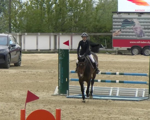 Reitturnier Wädenswil 2022