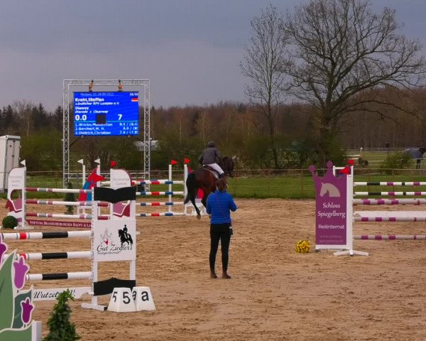 Reitturnier Wutzetz 2022