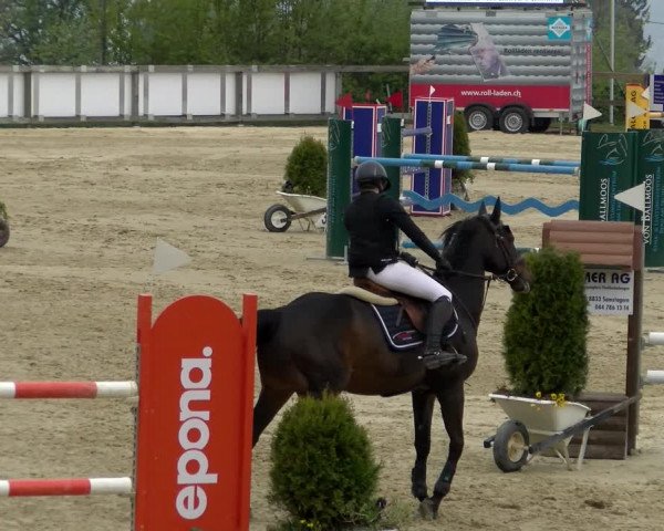 Reitturnier Wädenswil 2022