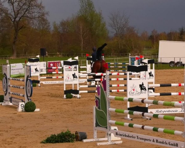 Reitturnier Wutzetz 2022