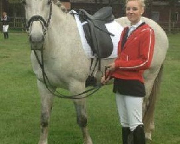 dressage horse Rubina Royal 2 (Oldenburg, 1999, from Royal Diamond)