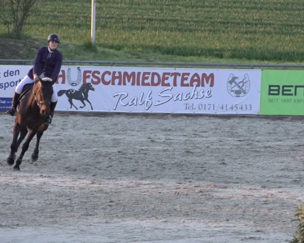 Reitturnier Harsum-Hüddessum 2022