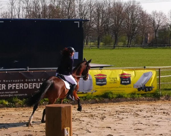 Reitturnier Wutzetz 2022