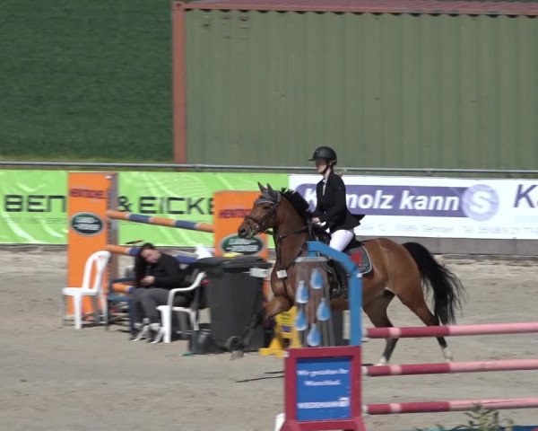Reitturnier Harsum-Hüddessum 2022