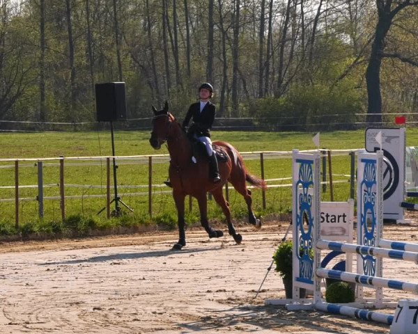 Reitturnier Wutzetz 2022