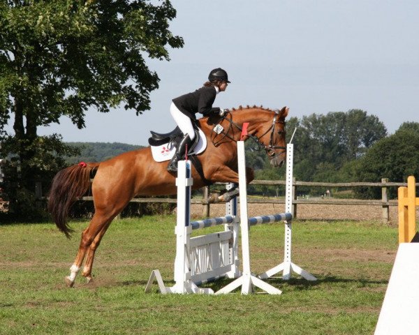 Springpferd Pretty Mare 2 (Westfale, 2003, von Pocalino) Springpferd Pretty Mare 2 (Westfale, 2003, von Pocalino)