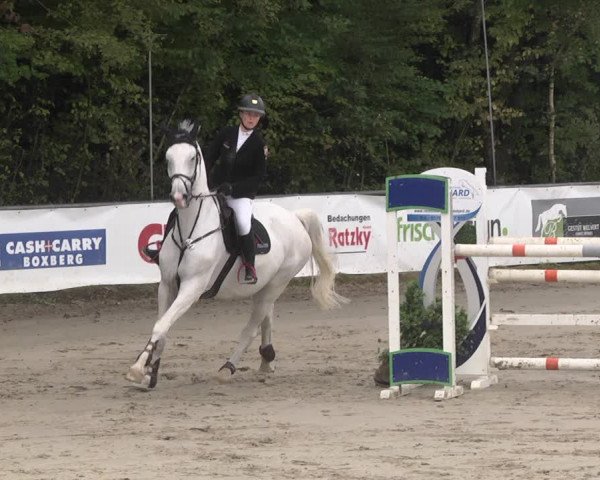 Reitturnier Neunkirchen-City 2021