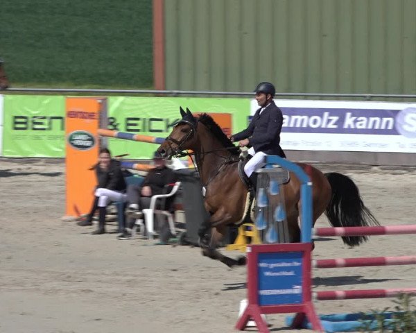 Reitturnier Harsum-Hüddessum 2022
