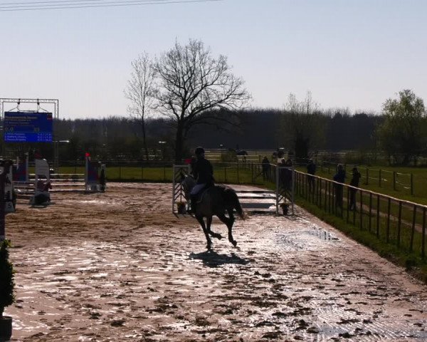 Reitturnier Wutzetz 2022