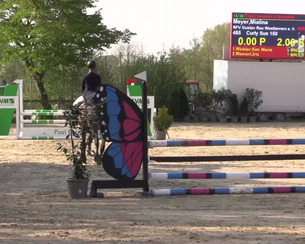 Reitturnier Nienberge 2022