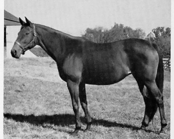 broodmare Baby League xx (Thoroughbred, 1935, from Bubbling Over xx)