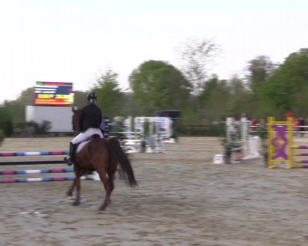 Reitturnier Nienberge 2022